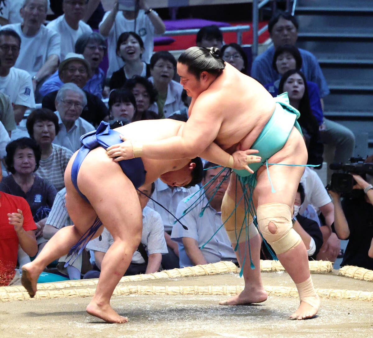 め*ぁ様 SUMO STOMP GAIN SUMO 超美品 SUMO STOMP GAIN SUMO め*ぁ様 SUMO STOMP GAIN SUMO め*ぁ様